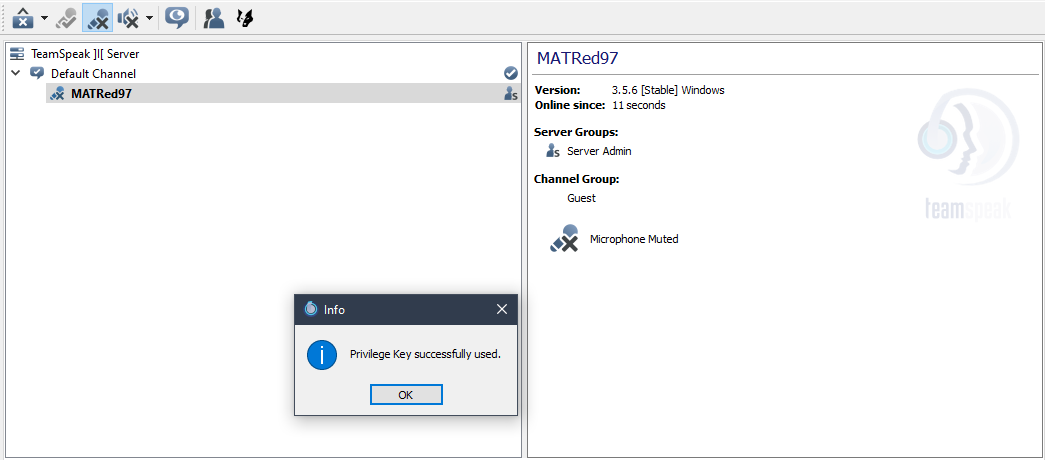 Teamspeak 3 Token Activate Successfully